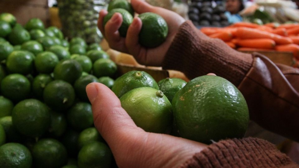 LIMÓN. En algunos supermercados, ayer vendían en mínimo 79.90 pesos el kilogramo del cítrico. Foto: Cuartoscuro
