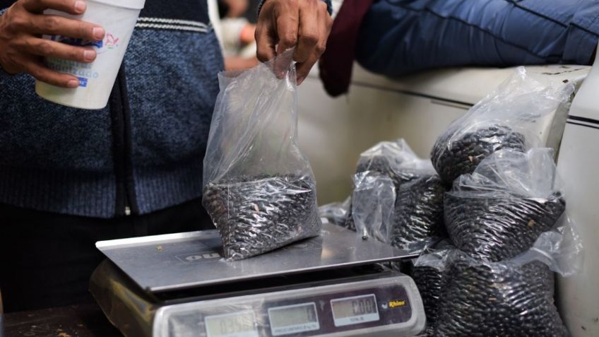 Profeco expone las marcas de frijoles que sí son lo que prometen y contienen mayor proteína en el mercado