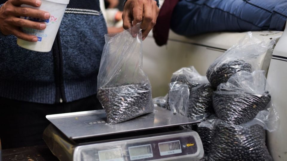 El contenido proteico se mide en base a 100 gramos de frijoles