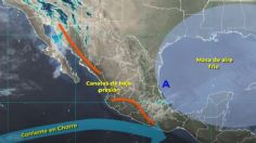 Frente Frío 22: Estos son los estados que tendrán fuertes lluvias, tormentas eléctricas y niebla