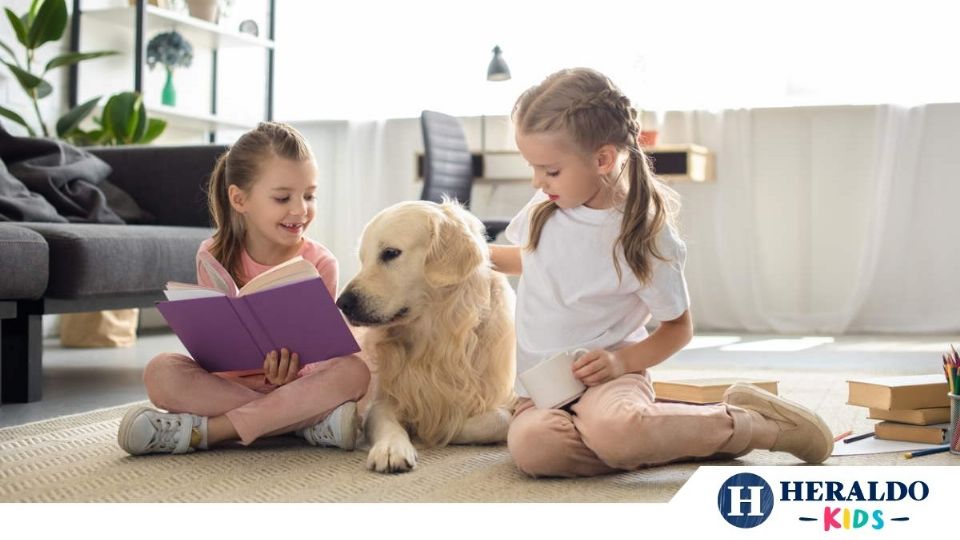 Las mascotas son grandes compañeros de historias y aventuras de los más pequeños de casa Foto: Especial