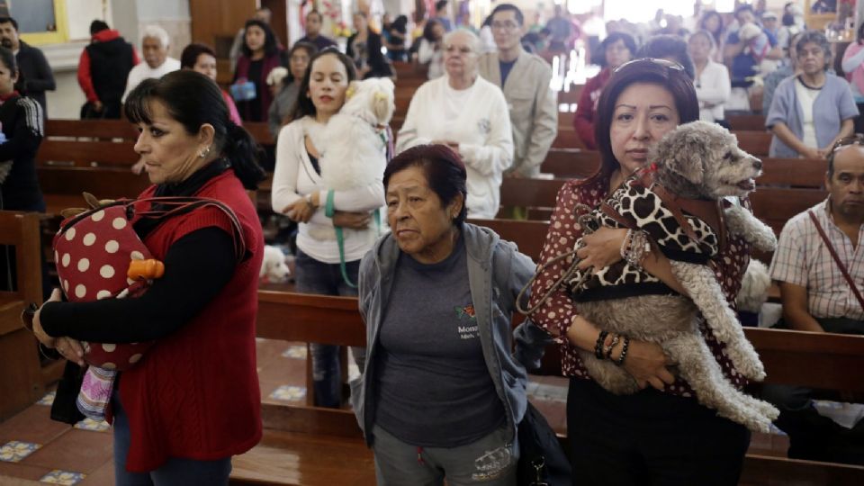 Todos los 17 de enero, los fieles llevan a sus mascotas a bendecir (Foto: Cuartoscuro)