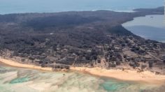 Biólogos mexicanos llevan varados más de dos años en Tonga; familiares piden apoyo de la embajada