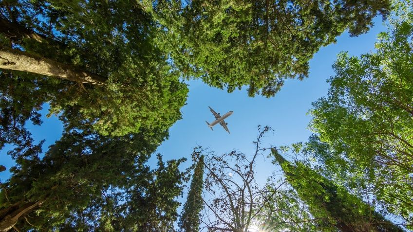 El destino es verde, ¿qué acciones está tomando la industria aérea?