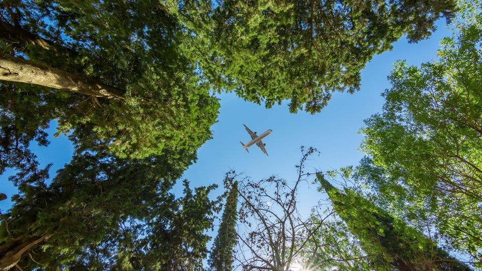 En 2019 la aviación fue la causante de 915 millones de toneladas de dióxido de carbono en la atmósfera. Foto: Shutterstock