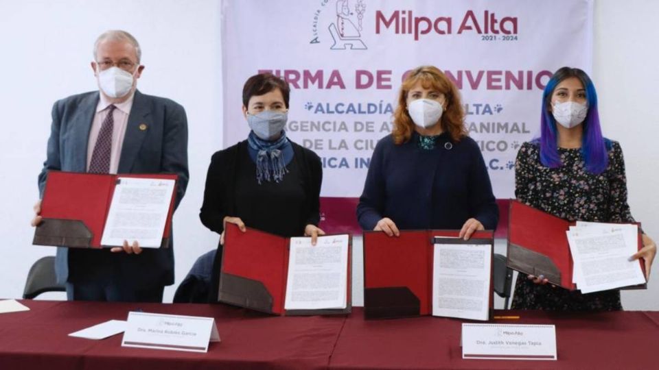 Milpa Alta atenderá a perritos y gatitos abandonados en la calle (Foto: Especial)