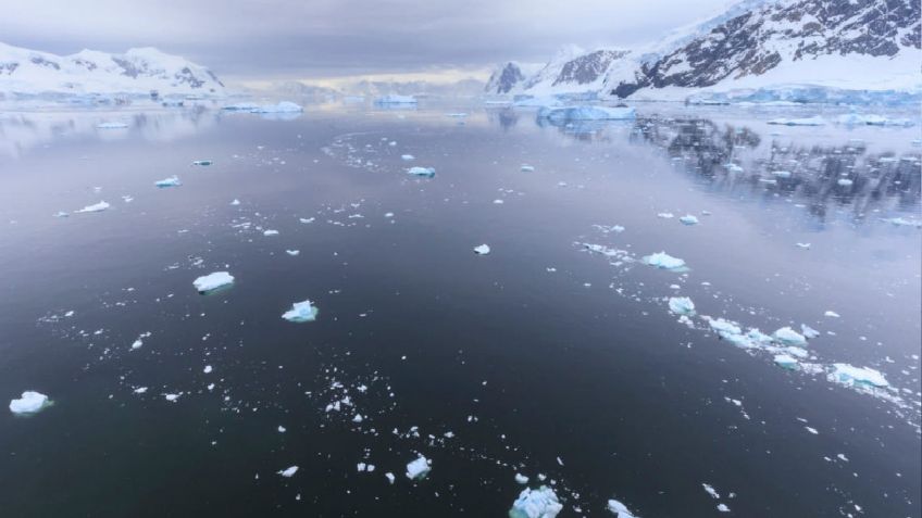 Conoce todos los detalles sobre el Océano Austral y dónde se encuentra