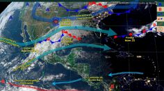 Frente Frío 24: Estos son los estados que tendrán lluvias, fuertes rachas de viento y heladas