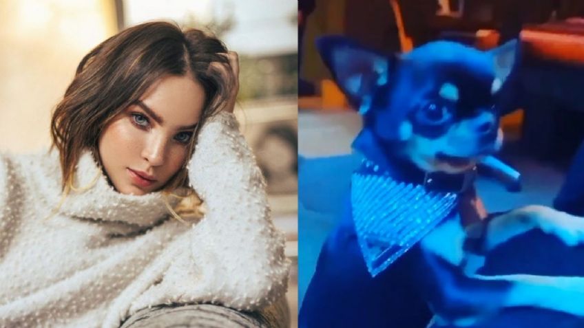 Belinda compra LUJOSO collar de 7 mil pesos para su perrito