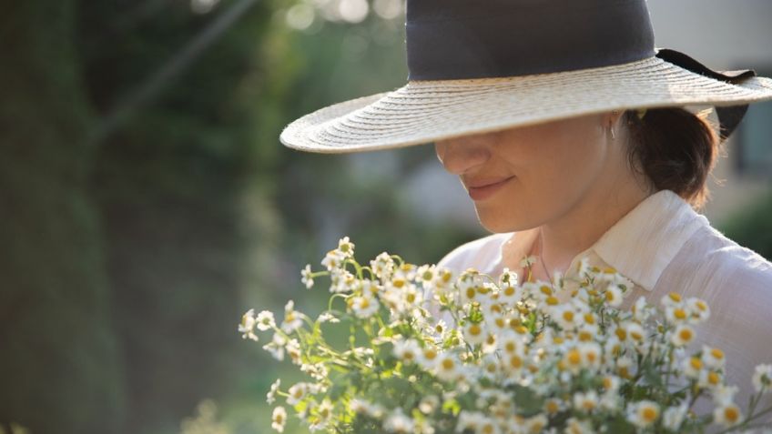 Esta es la manera más fácil de cultivar manzanilla en tu jardín