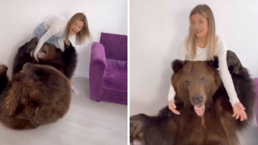 Investigan a tiktoker que llevó un oso gigante a su casa para entretener a su hijo | VIDEO