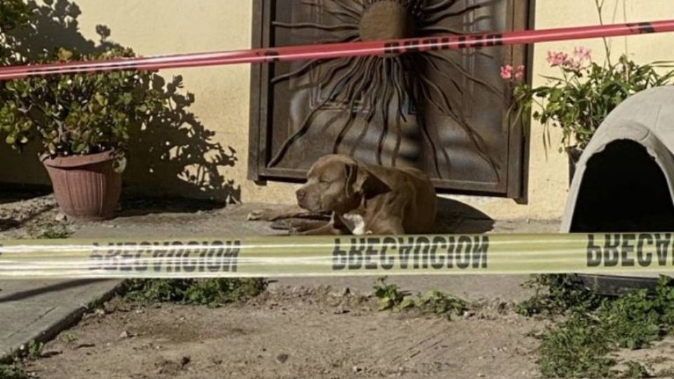 'Chato' conmovió a las redes tras esperar a Lourdes Maldonado. Foto: @moralesyo