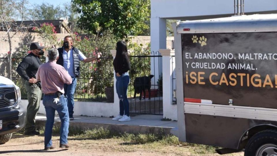 Las autoridades buscan al responsable de estos actos