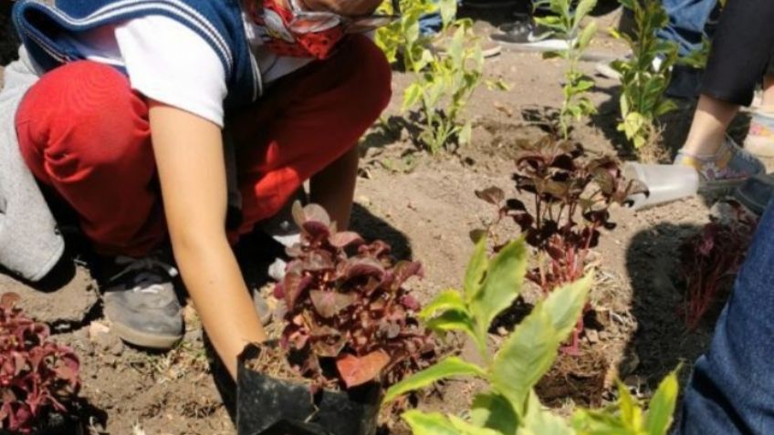 En Miguel Hidalgo buscan impulsar sustentabilidad, creación y recuperación de áreas verdes