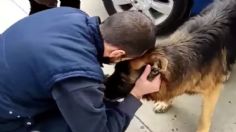 El emotivo regreso a casa de un perrito que estuvo perdido por siete años | VIDEO