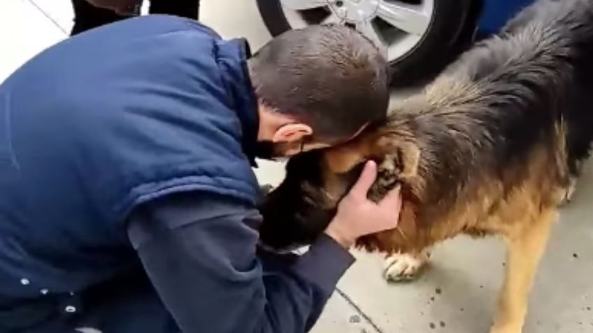 El emotivo regreso a casa de un perrito que estuvo perdido por siete años | VIDEO