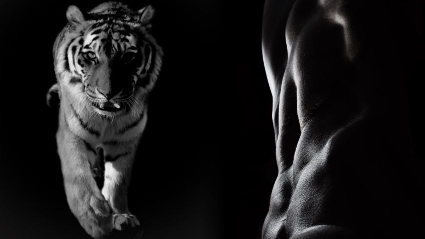 ¿Año Nuevo Chino? Descubre el tipo de entrenamiento para un tigre de verdad