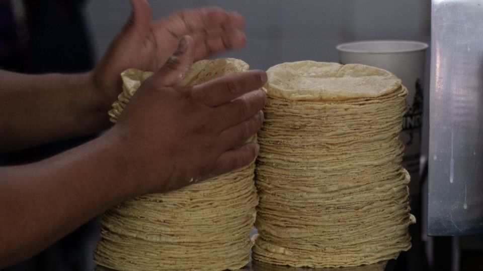 El aumento de la tortilla se debe, según Homero López, al aumento de las harinas. FOTO: ESPECIAL