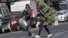 ¡No tires tu árbol de navidad!: Llaman a capitalinos a intercambiarlo por una planta o un libro