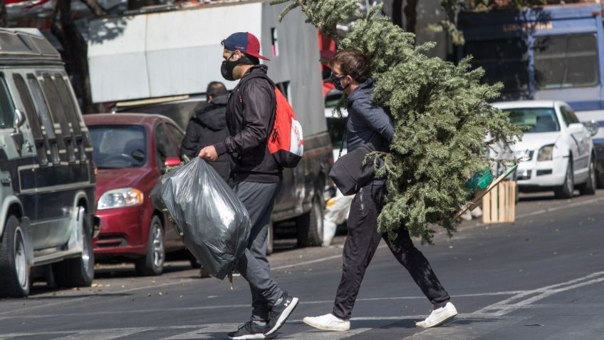 ¡No tires tu árbol de navidad!: Llaman a capitalinos a intercambiarlo por una planta o un libro