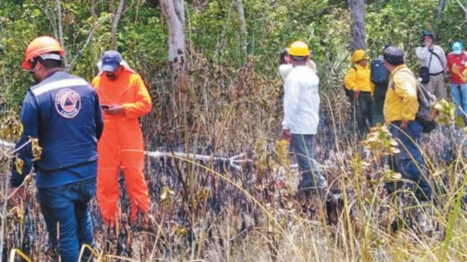 GOLPE. Los Petenes, en Campeche, es la zona peor calificada en protección del manglar. En 2019 sufrió un incendio. Foto: Especial