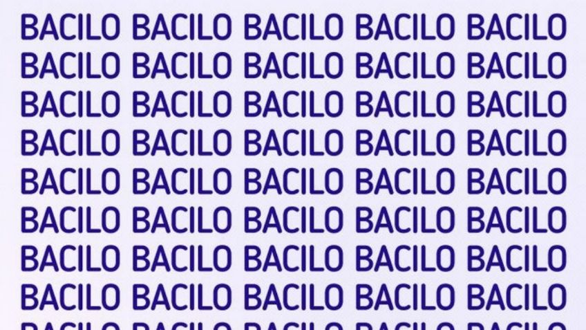 Acertijo visual: ¿Eres capaz de encontrar la palabra VACILO en solo 5 segundos?