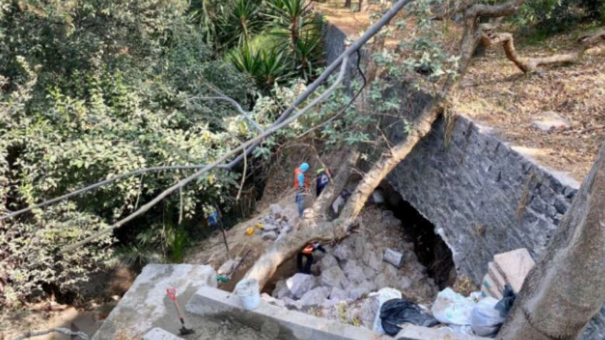 Continúa la rehabilitación de las barrancas de Dolores y Barrilaco en el Bosque de Chapultepec