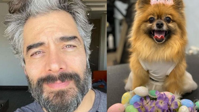 "Te extrañaremos por siempre": Omar Chaparro se despide de su perrita, ¿qué le pasó?