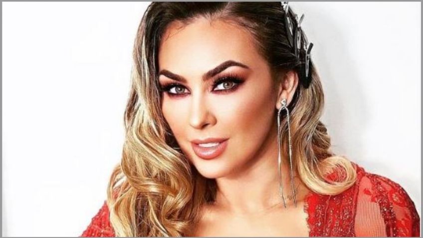 Aracely Arámbula: Reyes Magos sorprenden a "La Chule" con tremendo oso de regalo | FOTO