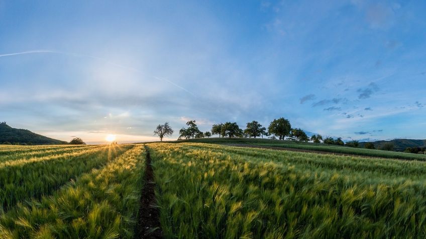 CNA, traza plan en la producción agroalimentaria