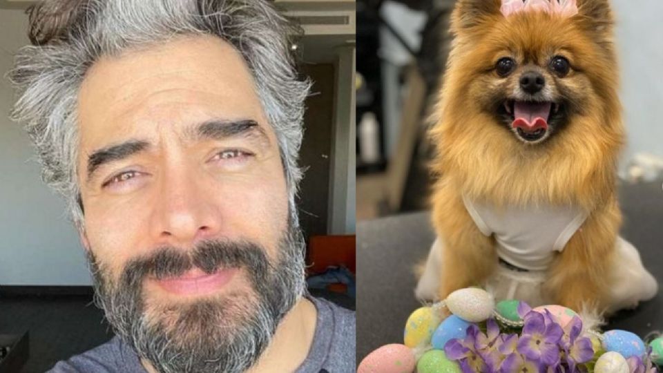 Omar Chaparro se despidió de su perrita con un emotivo mensaje. (Foto: @omarchaparro)