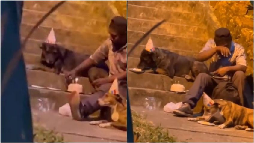 "Feliz cumpleaños, perrito": hombre festeja a sus perros en plena calle y las redes están llorando