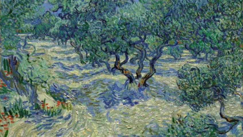 ¿Lo encuentras? Insecto en pintura de Vicent Van Gogh estuvo ahí por un siglo sin ser visto