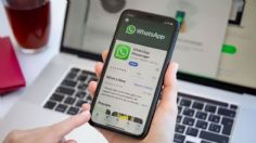 WhatsApp se renueva: ahora te avisará si tus amigos subieron un estado