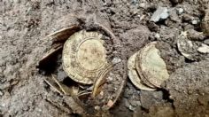 Una pareja encuentra monedas de oro tras remodelar su cocina en Reino Unido