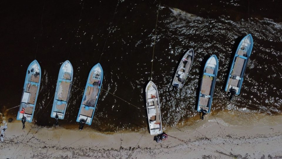 La presencia de la “marea roja” en las playas se Tamaulipas no ha sido permanente