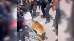 VIDEO: Captan brutal golpiza contra presunto ladrón y perrito se une para lincharlo