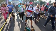 Coyoacán concluye segundo maratón canino con más de mil participantes