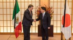 Japón está en busca de más diálogo sobre la Reforma Eléctrica de México