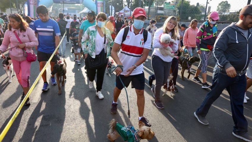 Coyoacán concluye segundo maratón canino con más de mil participantes