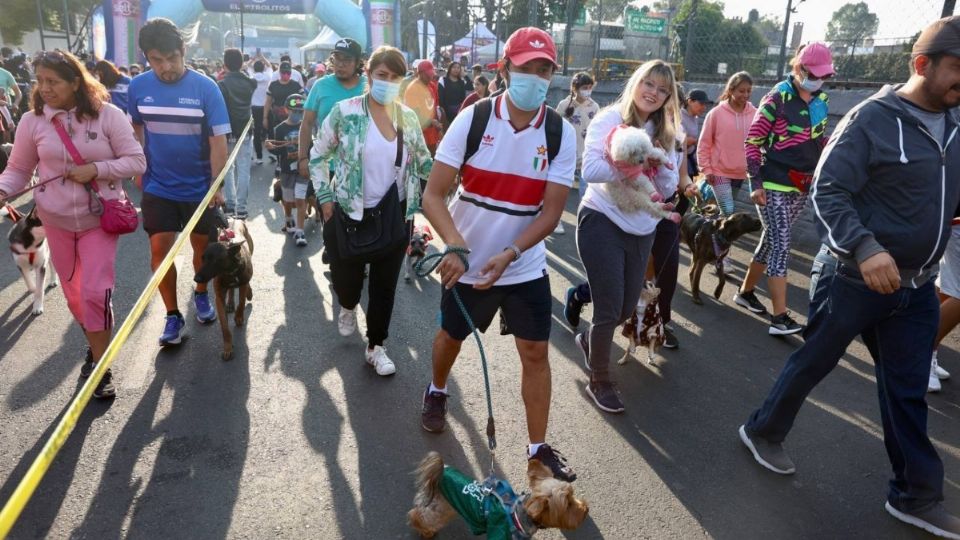 Ofrecieron vacunas, desparasitaciones y consultas veterinarias gratuitas durante el evento