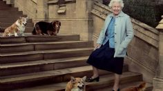 Así es la nueva vida de los corgis de Isabel II tras la muerte de la monarca