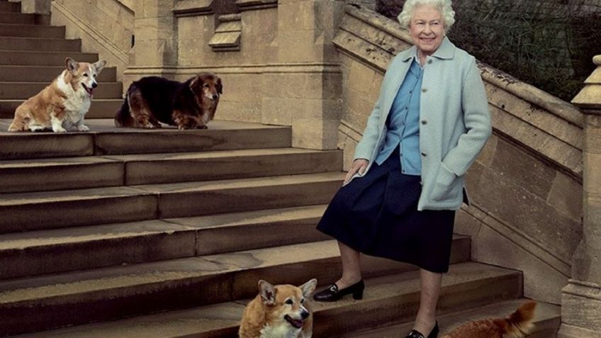 Así es la nueva vida de los corgis de Isabel II tras la muerte de la monarca