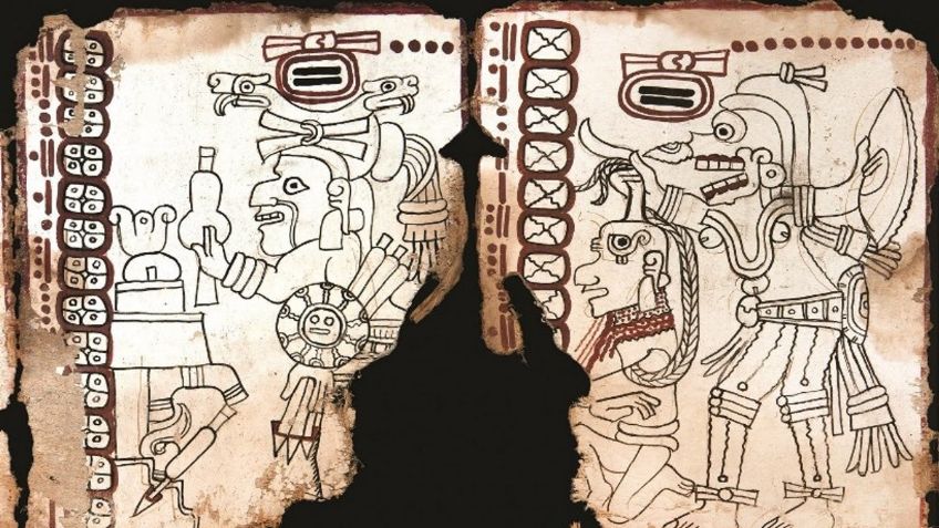 El Códice Maya más antiguo de México protagoniza exposición en EU