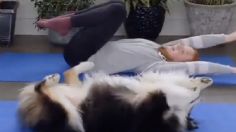 VIDEO: una perrita rompe las redes al hacer yoga con su dueña