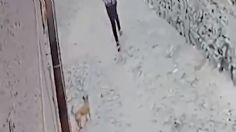 VIDEO | Una mujer ató a un cachorro a un poste y lo abandonó en calles de Jalisco