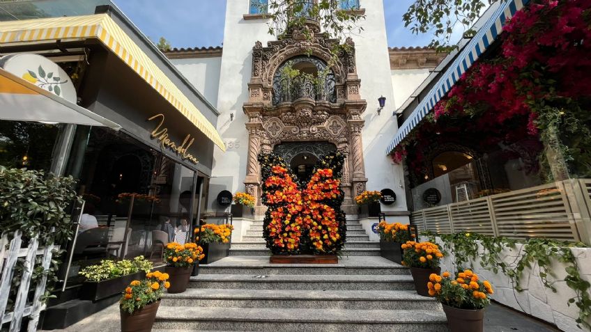 Miguel Hidalgo: regresa el Festival de Flores y Jardines en su cuarta edición