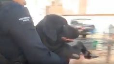 VIDEO: el dramático rescate de un perrito tras la explosión en Aguascalientes