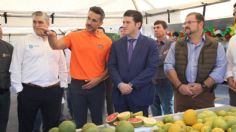 Nuevo León recibirá 30 mdd de “Del Monte” para aumentar exportaciones