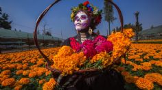 Día de Muertos: luces, desfiles y eventos gratis para este fin de semana